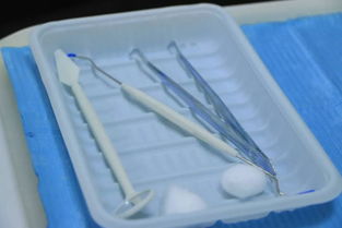 無套路洗牙新體驗 9.9元守護口腔健康，專業護理觸手可及